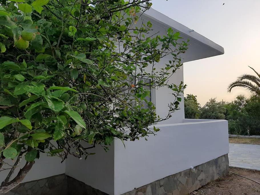 Annika'S Summer Dream Livadia  Exterior foto